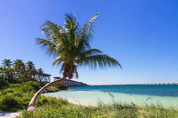 Bahia Honda State Park (Big Pine Key)