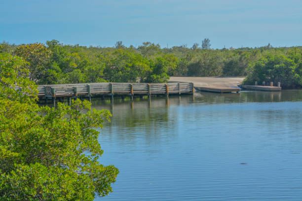 Top 5 Places to Paddleboard in Tampa, Florida (2026 Guide)