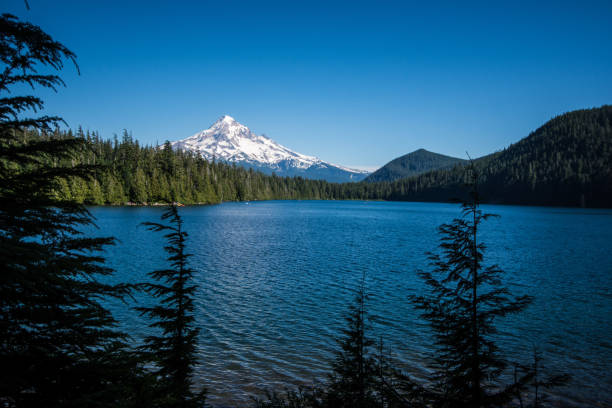 Top 5 Places to Paddleboard in Hood River, Oregon (2026 Guide)