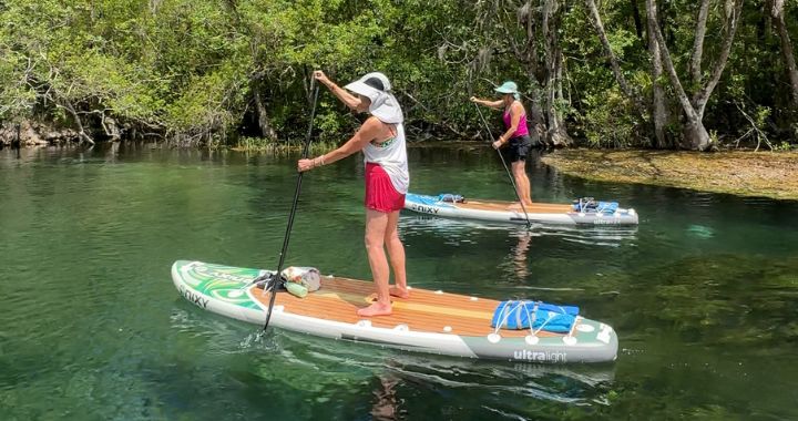 How to Paddle Board: A Step-by-Step Beginner's Guide