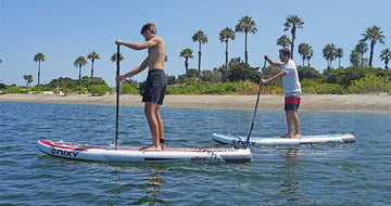 Men standing up on inflatable paddleboards in front of a scenic ocean view with palm trees and blue water.