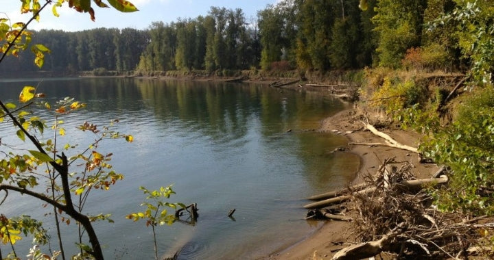 Ross Island on the Willamette River, Portland, Oregon