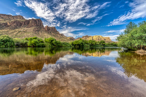 Salt River, Arizona