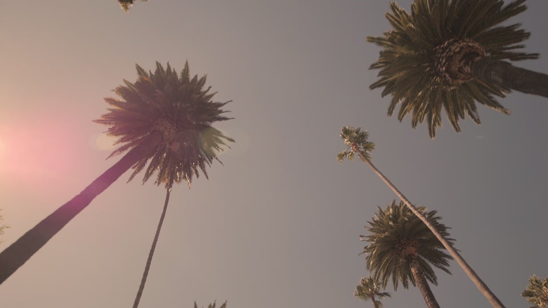 Lifestyle video of surfers at the beach wearing the NIXY surf changing coat